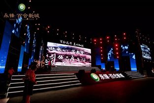 永鋒·百合新城璀璨亮相，龐龍獻唱引爆武城文化新篇章