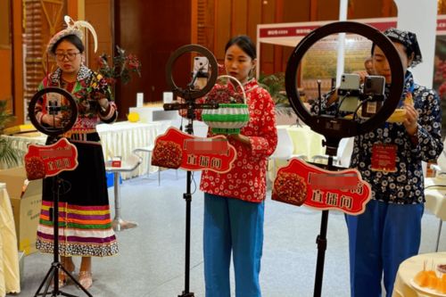 紅星觀察丨主播經紀首度納入行政監管，《網絡表演經紀機構管理辦法》征求意見稿解讀